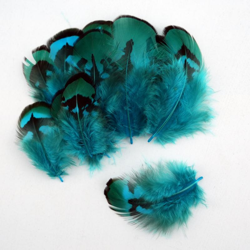 Wedding Supply Bulk - Plumas de Faisán Naturales Teñidas de