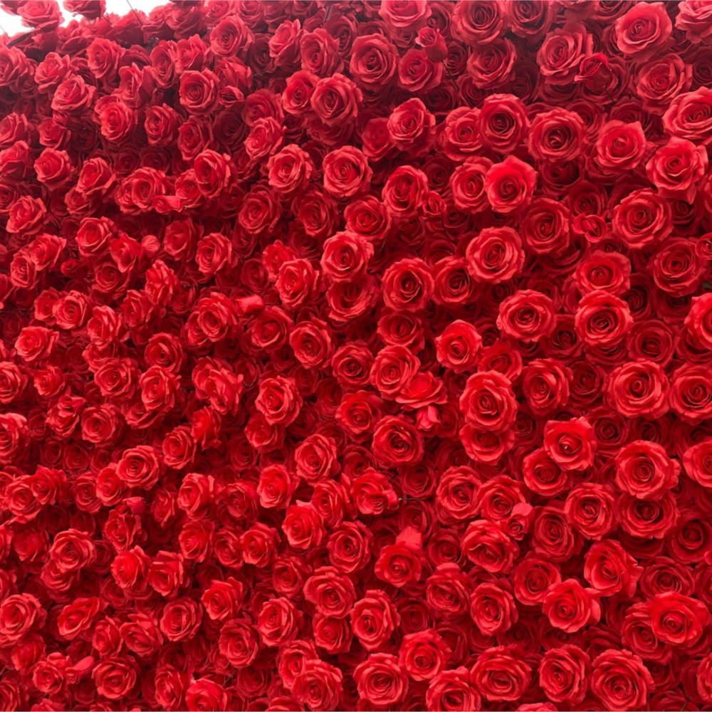 Uflower Rosa Roja 5D tela flor - Wedding Backdrop Curtain reseña y precio