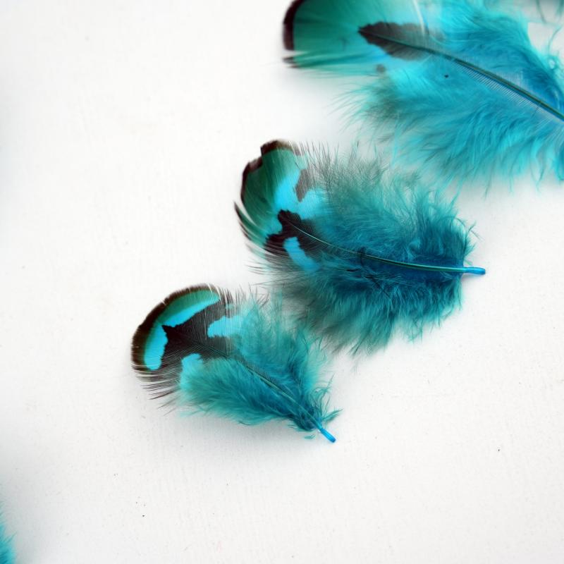 Plumas de Faisán Naturales Teñ - Wedding Supply Bulk reseña y precio