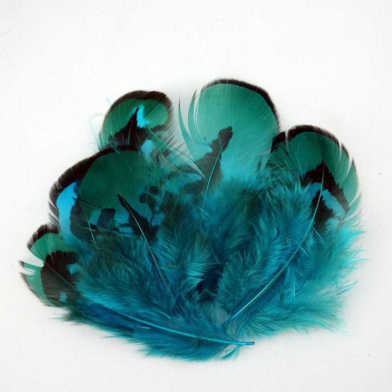 Plumas de Faisán Naturales Teñ - Wedding Supply Bulk reseña y precio
