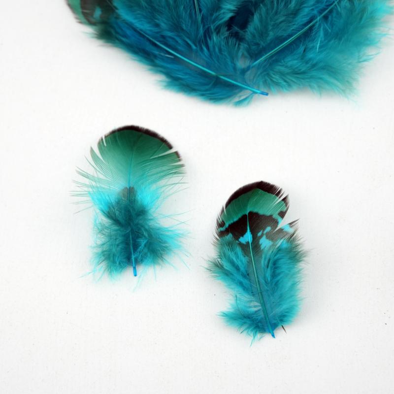 Plumas de Faisán Naturales Teñ - Wedding Supply Bulk reseña y precio