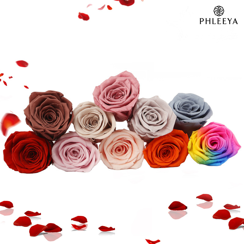 6 uds cabezas de flores de ros - Wedding Supply Bulk reseña y precio